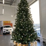 Новогоднее оформление автосалонов Hyundai, Mazda, Mitsubishi, Renault, Toyota фото 6045