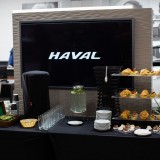 BRAND DAY HAVAL фото 7607